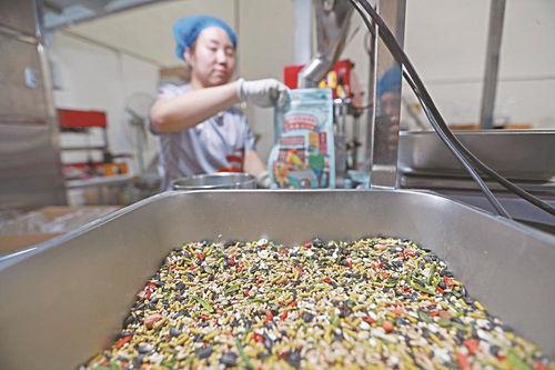 寵物食品行業(yè)迎熱潮 生產(chǎn)線日夜兼程背后的市場驅(qū)動(dòng)力