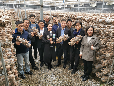 設(shè)施食用菌研發(fā)邁入智能化新階段——國家重點(diǎn)研發(fā)計(jì)劃課題中期檢查會(huì)暨香菇液體菌種現(xiàn)場會(huì)在豫召開