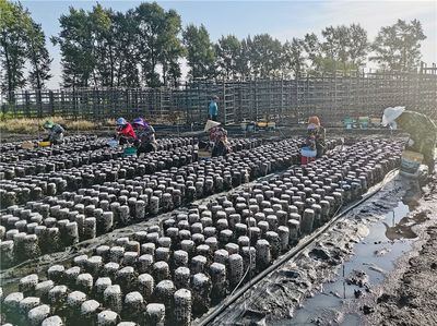 廣開食源耘天下--探尋&ldquo;大食物觀&rdquo;在基層的生動(dòng)實(shí)踐