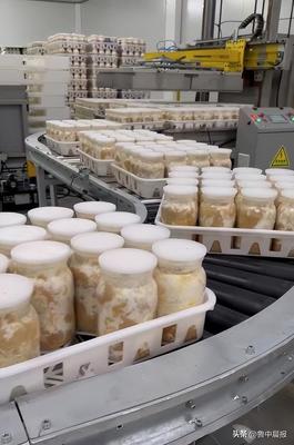 智慧賦能，科技增效——食用菌智慧工廠化生產(chǎn)關(guān)鍵技術(shù)研發(fā)及產(chǎn)業(yè)化項(xiàng)目現(xiàn)場調(diào)研側(cè)記