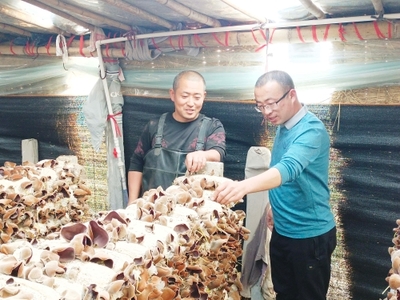 魚臺(tái)影像 毛木耳特色產(chǎn)業(yè)催農(nóng)富，科技研發(fā)引領(lǐng)食用菌新篇章